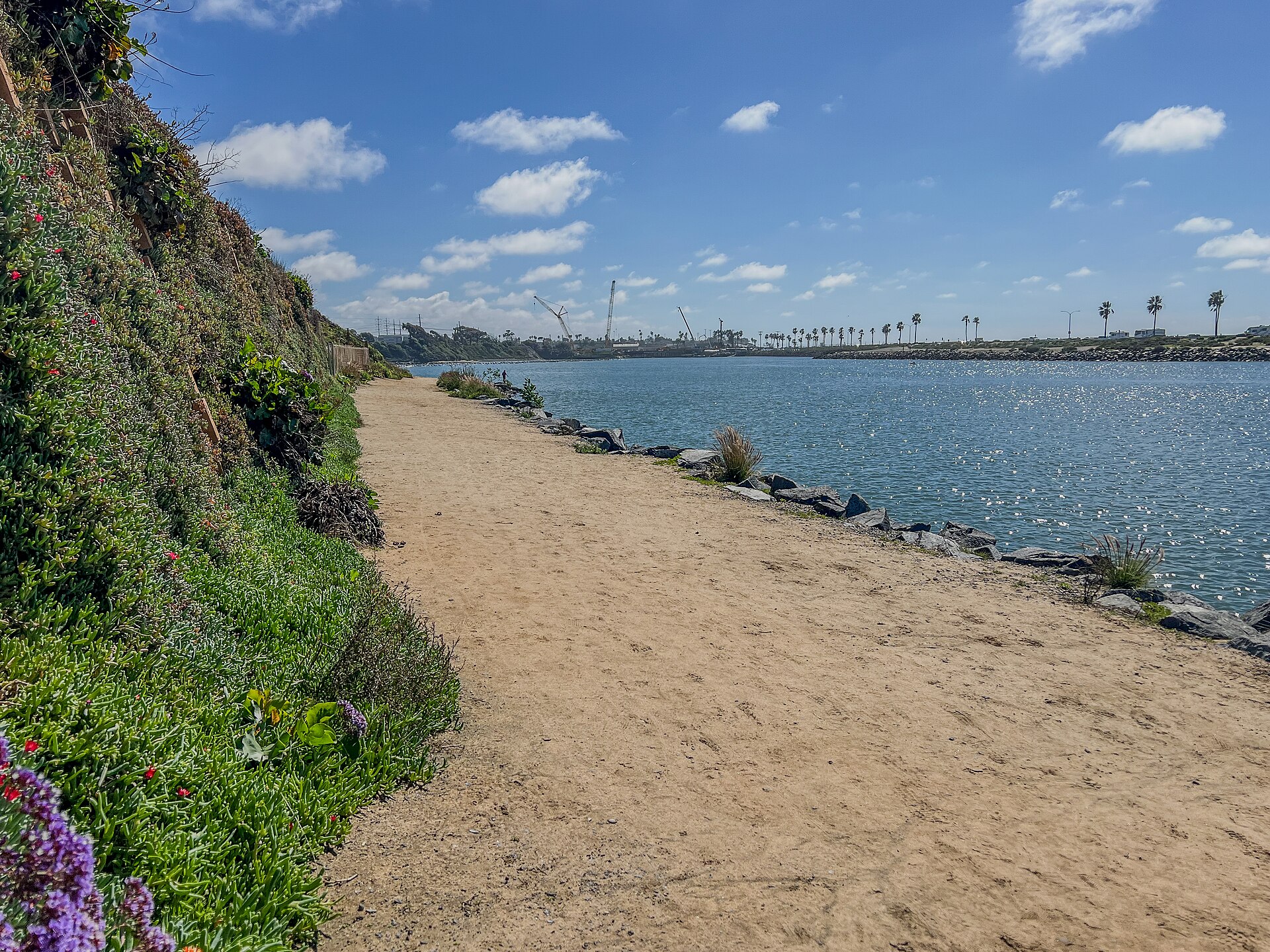 A shoreline trail beside Agua Hedionda Lagoon