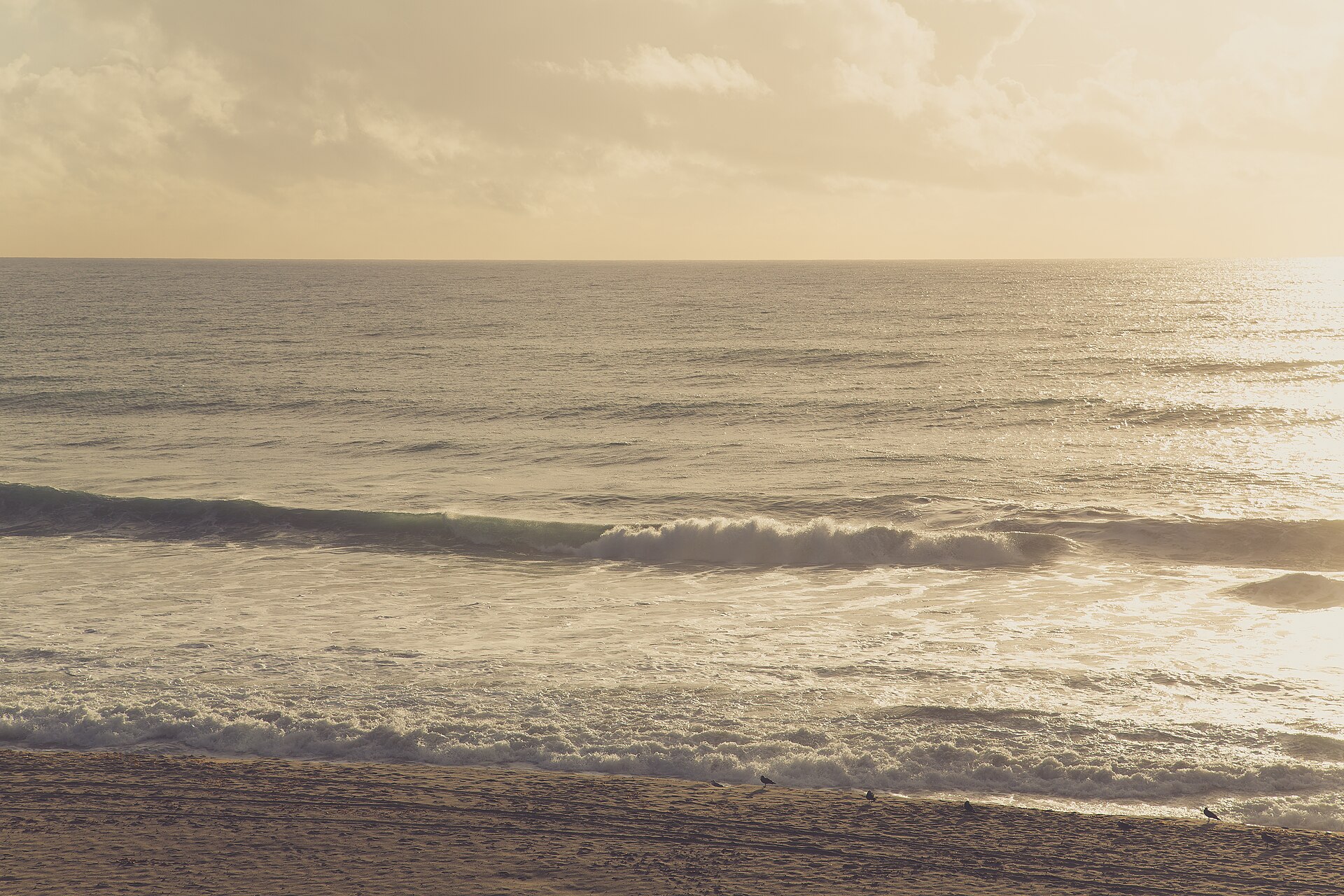The Carlsbad coastline beside the Pacific Ocean