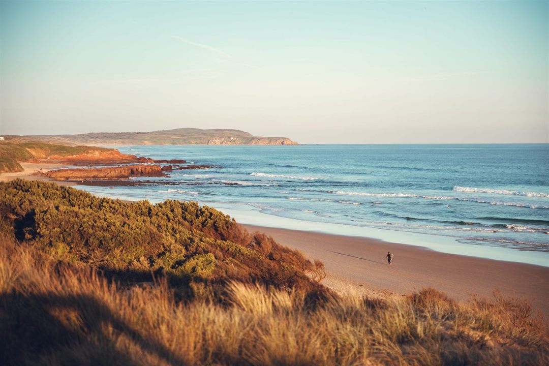 The George Bass Coastal Walk: From Clifftops to Sandy Shores