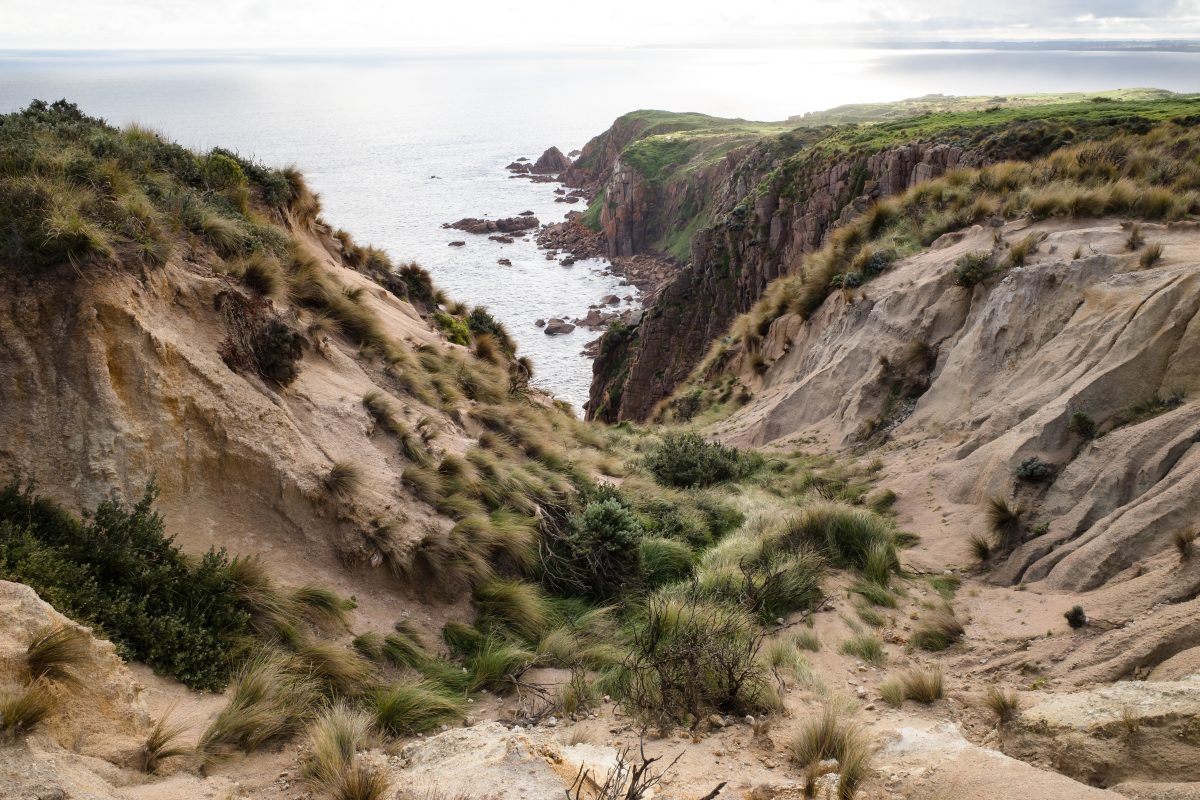 Phillip Island Nature Park