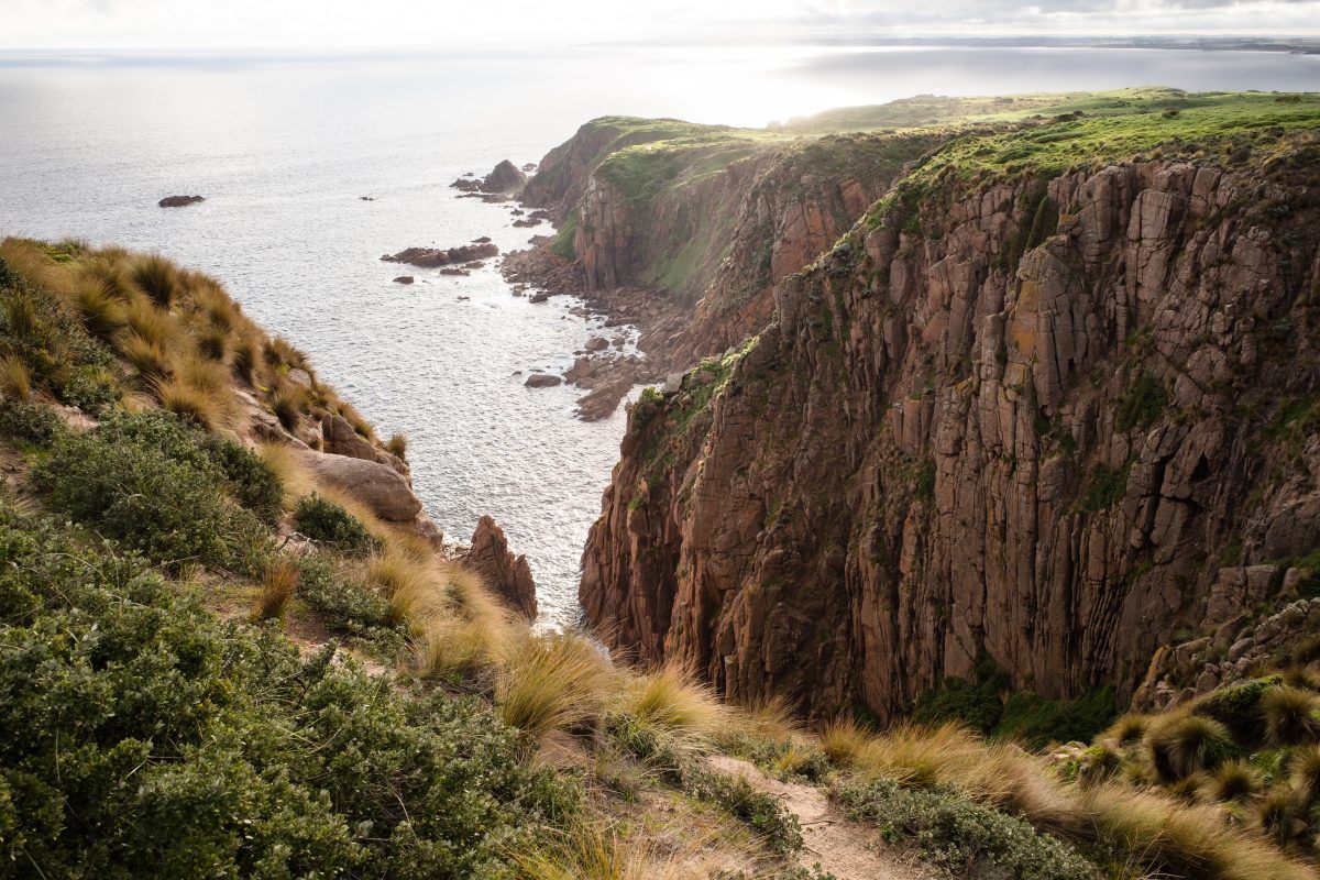 Rugged coastline in Phillips island