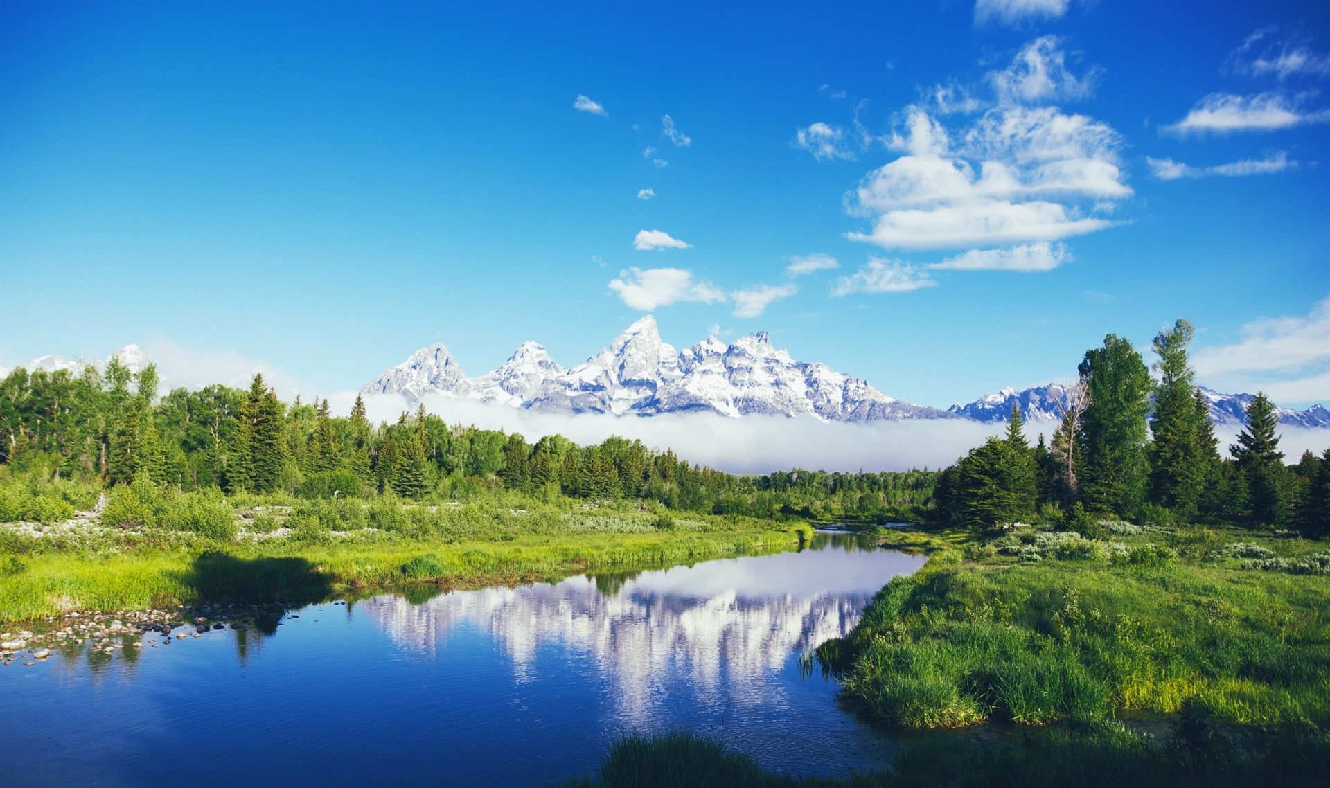 Fresh Summer day in Grand Teton National Park