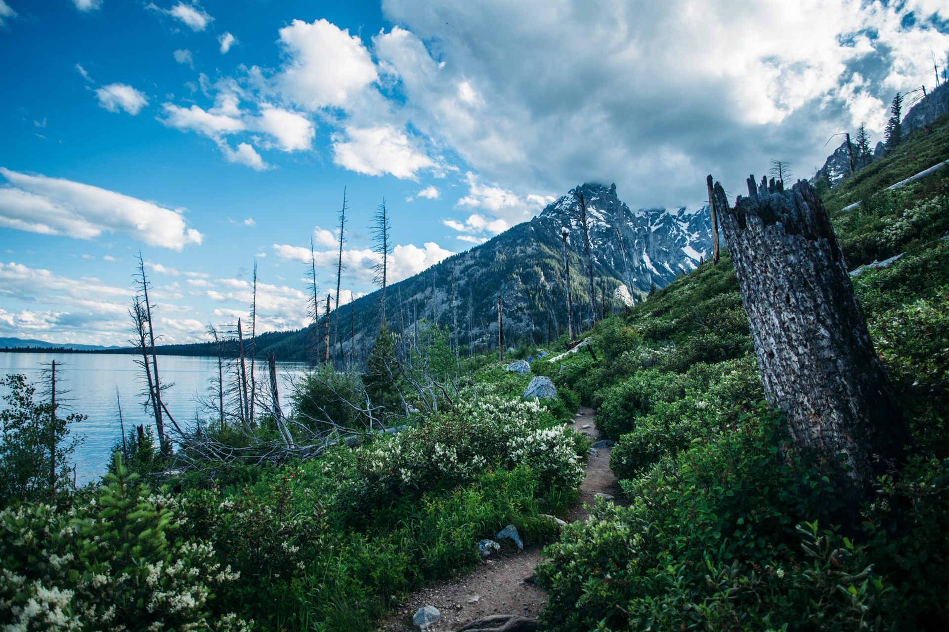 Hiking Trail in Grand Teton National Park