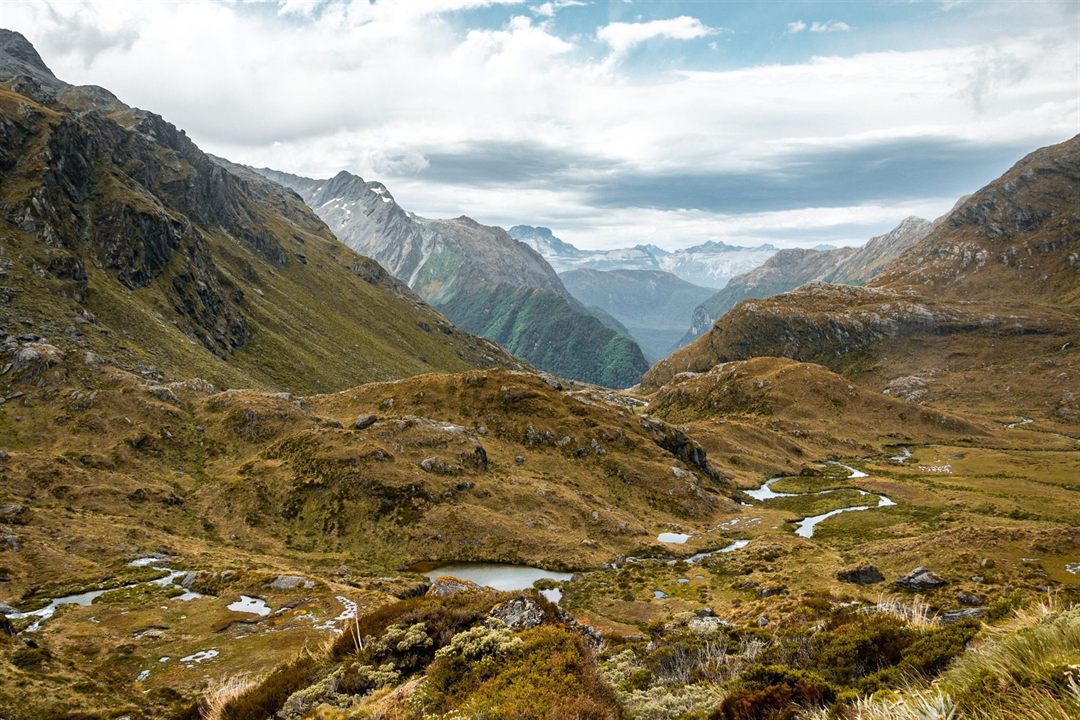 A Guide to the 10 (or 11) Great Walks of New Zealand