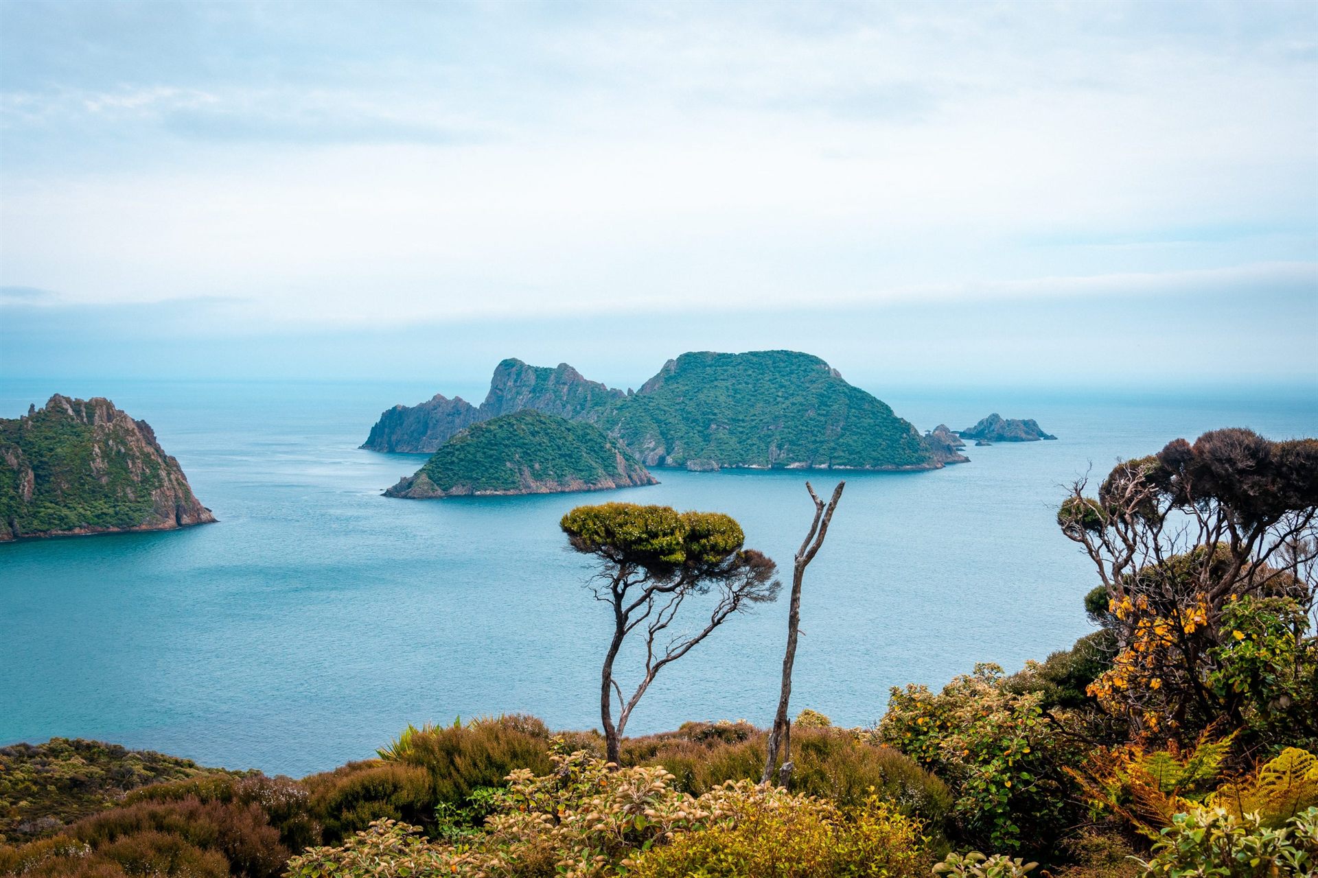 Rakiura Track Stewart Island