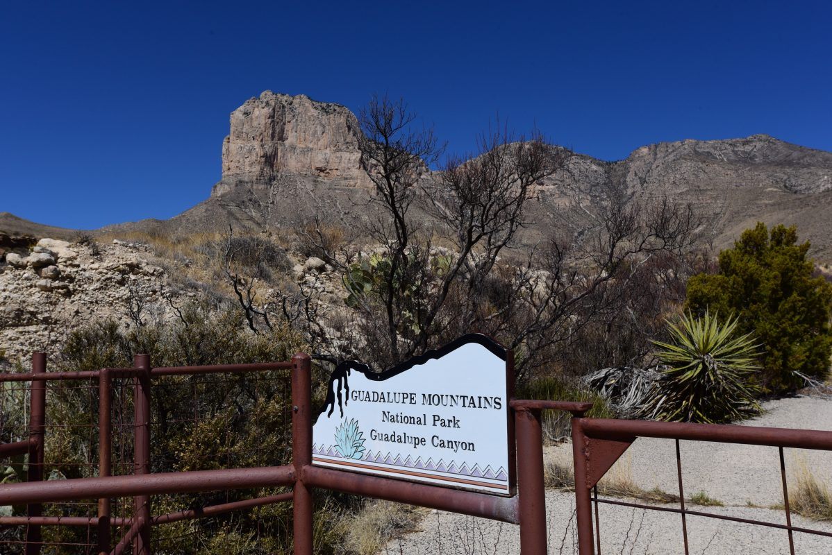 Guadalupe National Park sign post