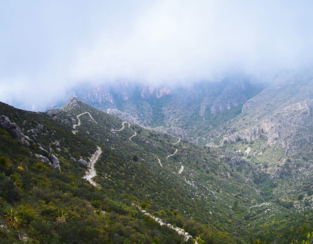 A winding trail in Guadalupe Mountains