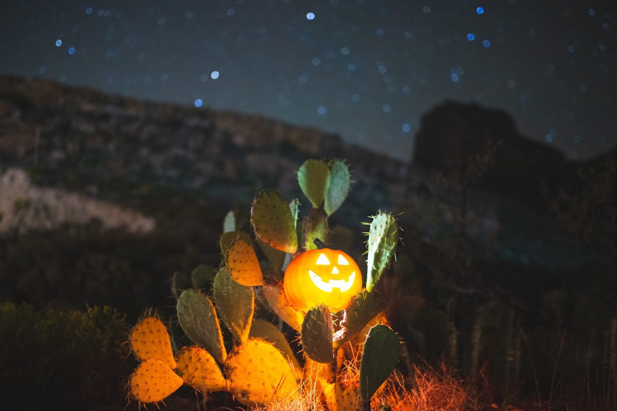 Night sky in Guadalupe Mountains