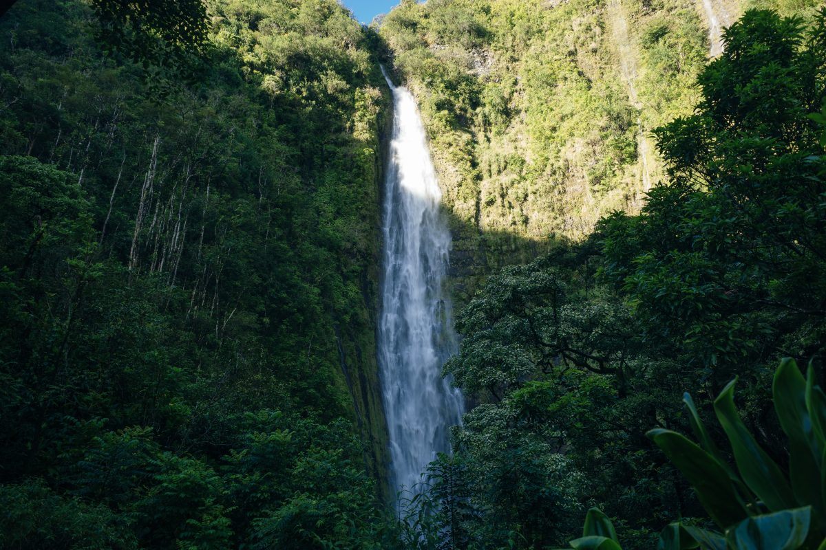 Popular Pipiwai trail in Haleakala National Park on Maui, Hawaii, USA
