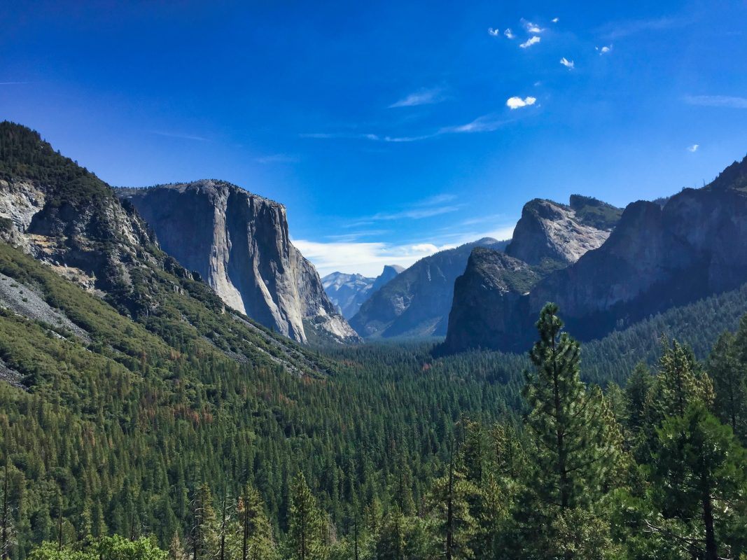 Yosemite National Park Road