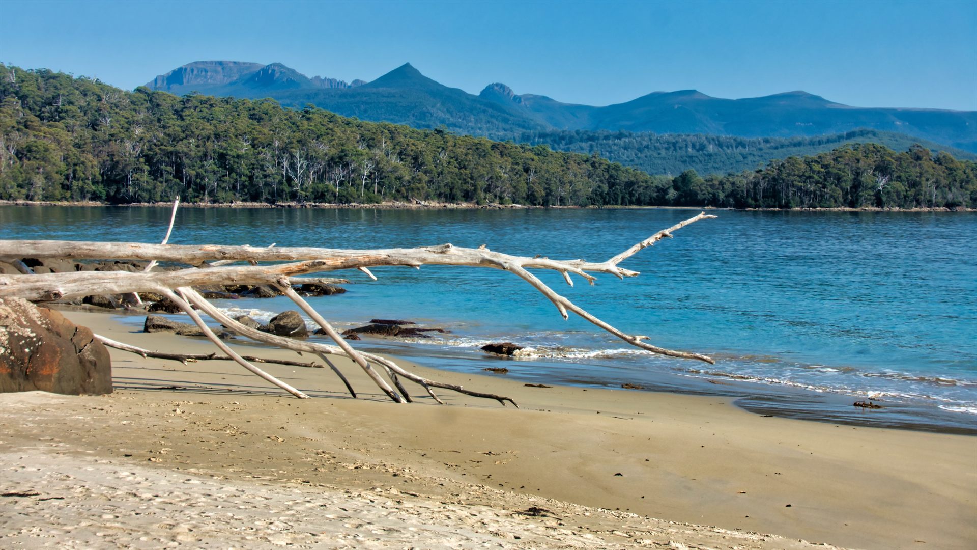 Beach in Tasmania