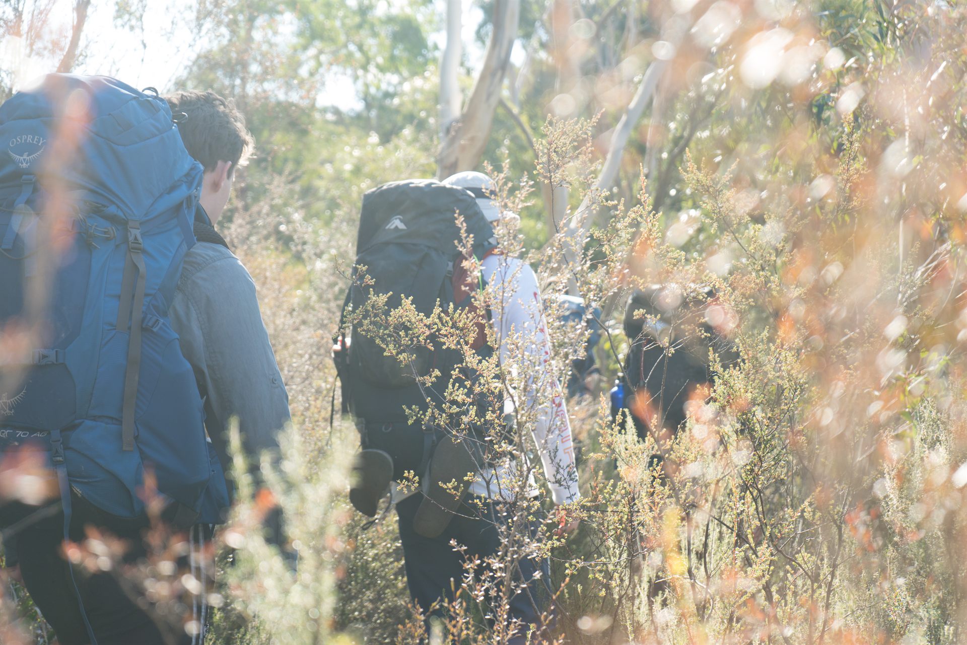backpackers in Australia