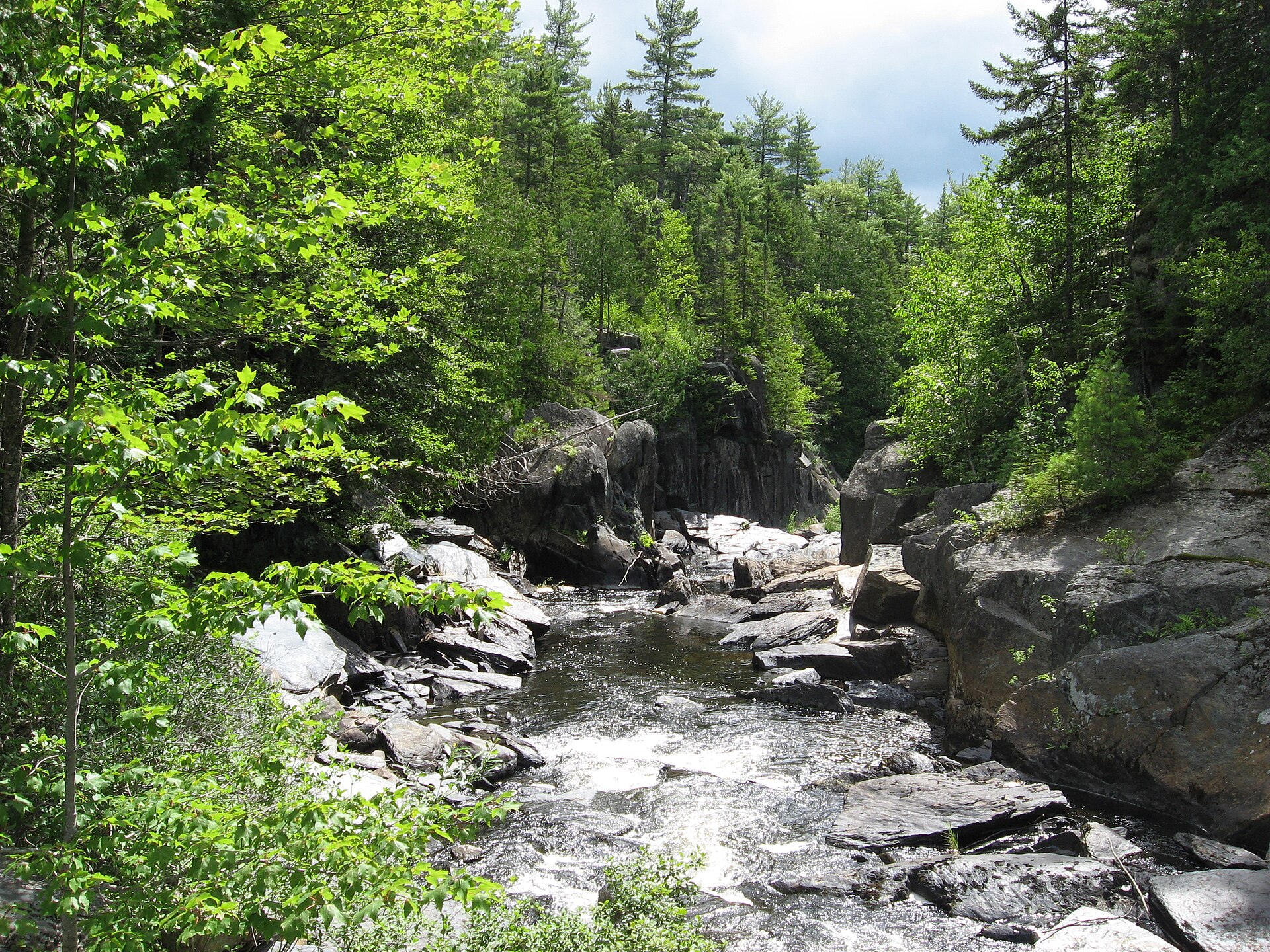 A forest waterfall along the Gulf Hagas trail system