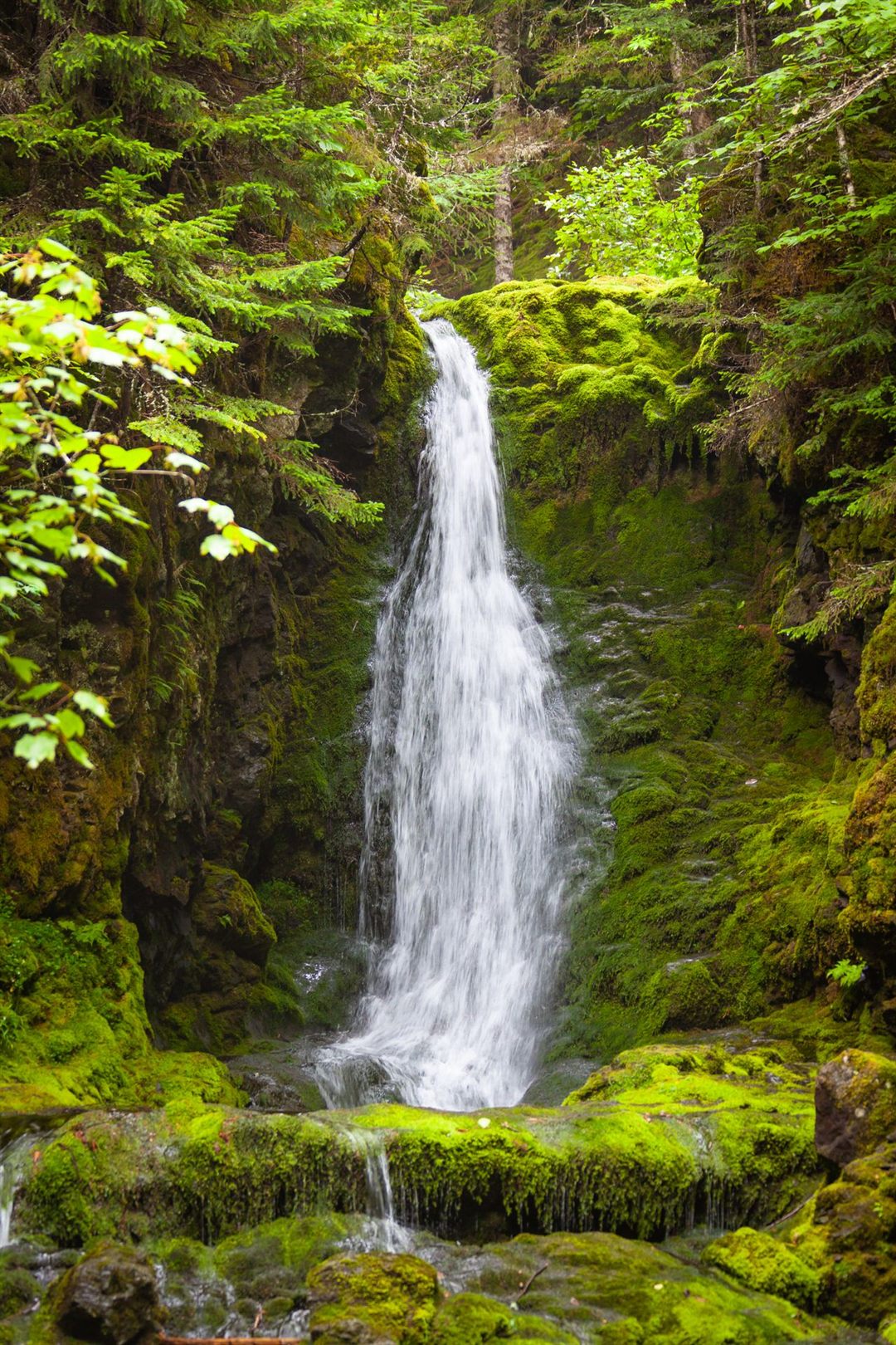 Waterfall cascading through a mossy forest in Maine