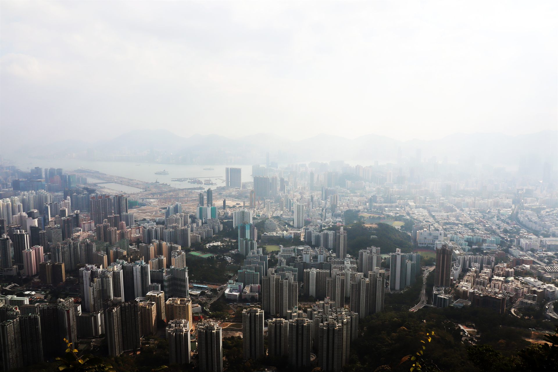 hong kong view from lion