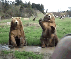 Hiking Puns: The Best Hiking and Backpacking Jokes and Memes