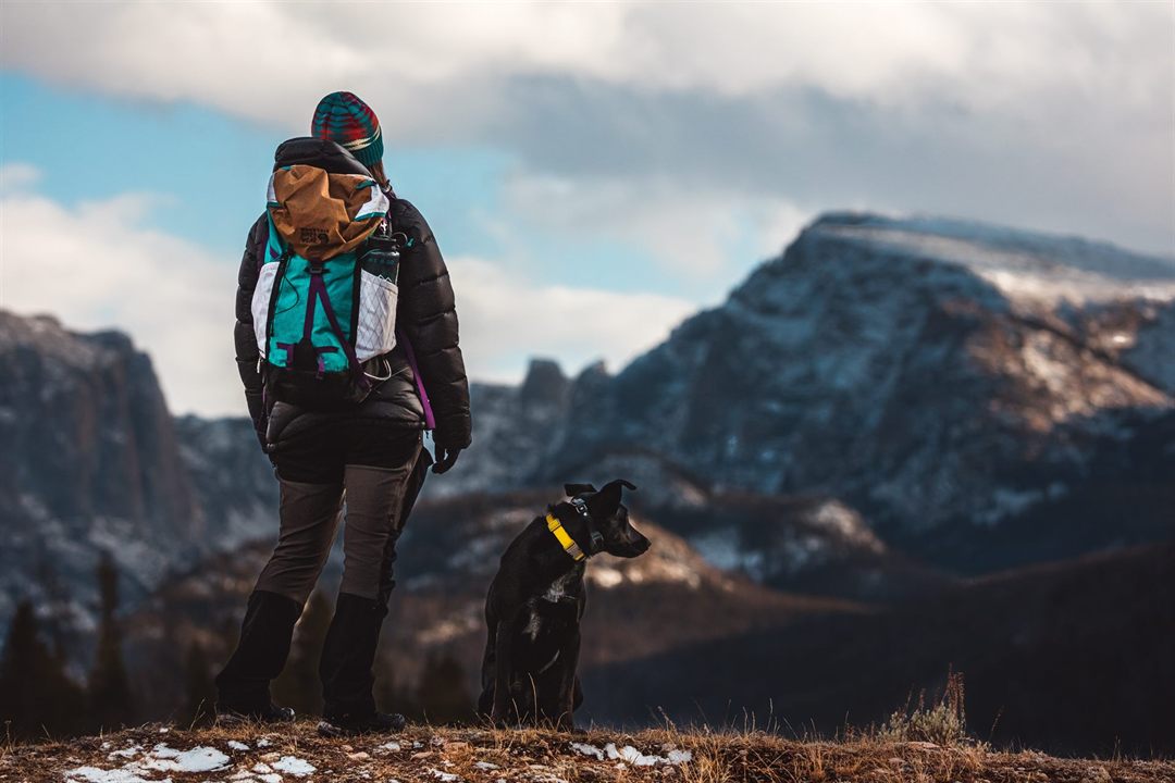 Hiking With Dogs: Guide to Hiking & Backpacking with Your Best Friend