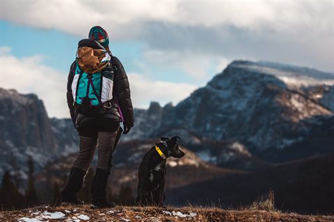 Hiking With Dogs: Guide to Hiking & Backpacking with Your Best Friend