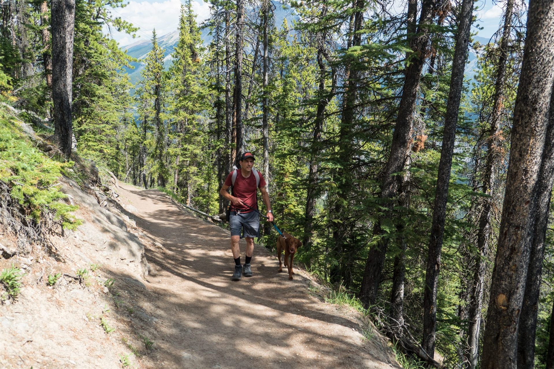 hiker with his dog on the trail