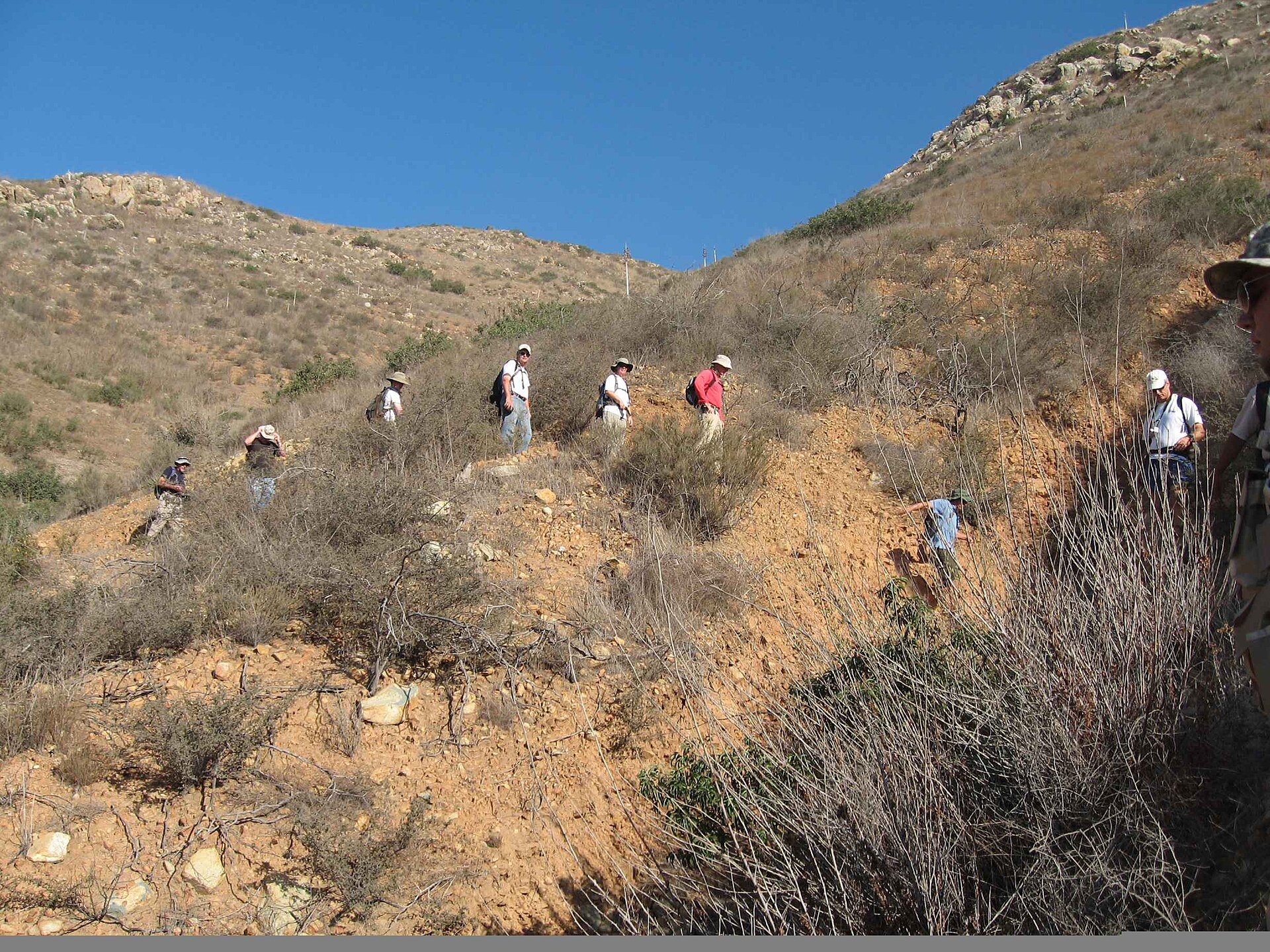Hikers following a mountain trail together