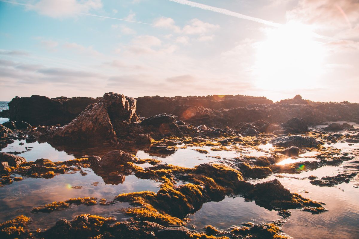 Laguna Coast Wilderness
