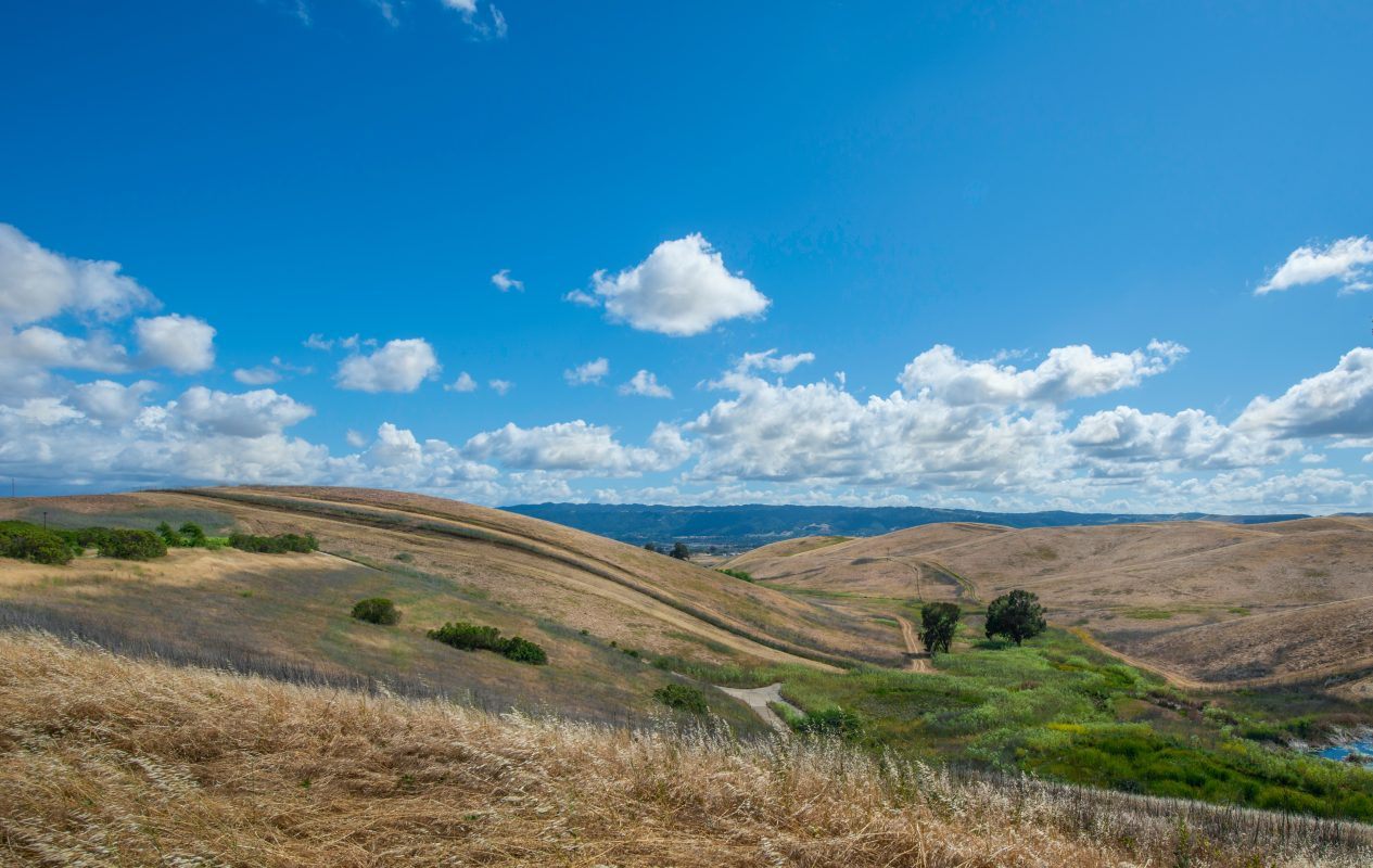 Grassy field in California