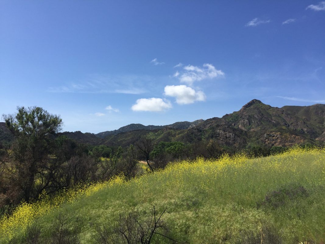 Santa Ana Mountains