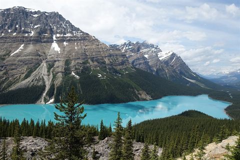 Jasper National Park: A Masterpiece of Nature in the Canadian Rockies