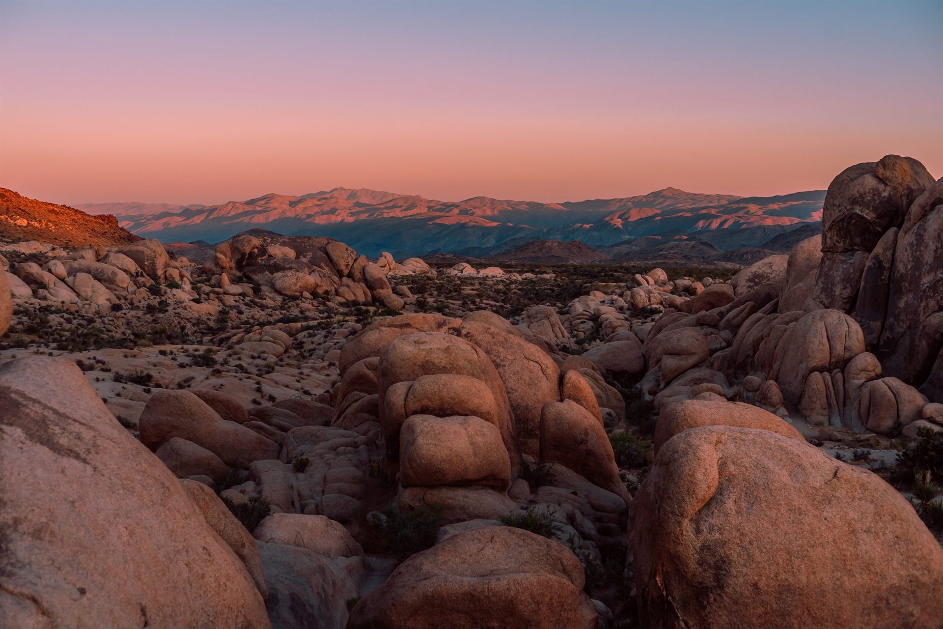Rocky Landscape in Joshua Tree NP