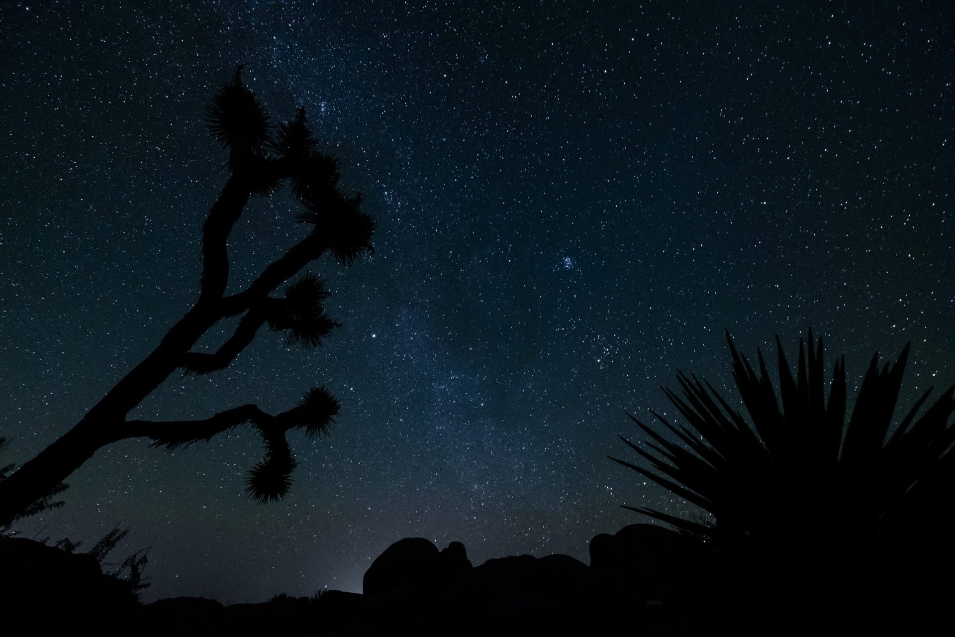 Joshua Tree National Park is famous for Stargazing