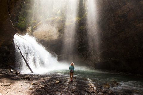 Jungle trekking: Everything You Need to Know