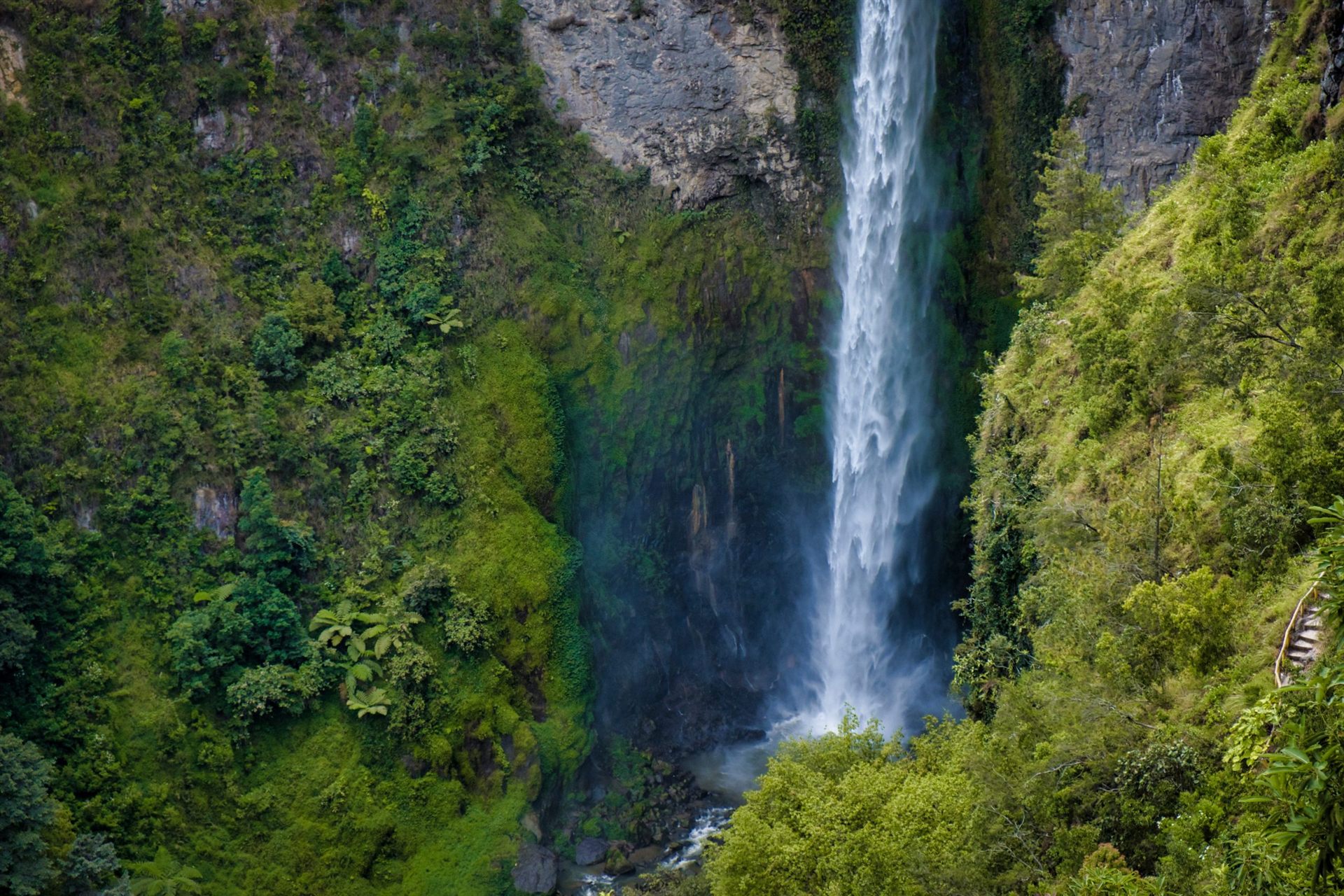 Jungle trek in Indonesia