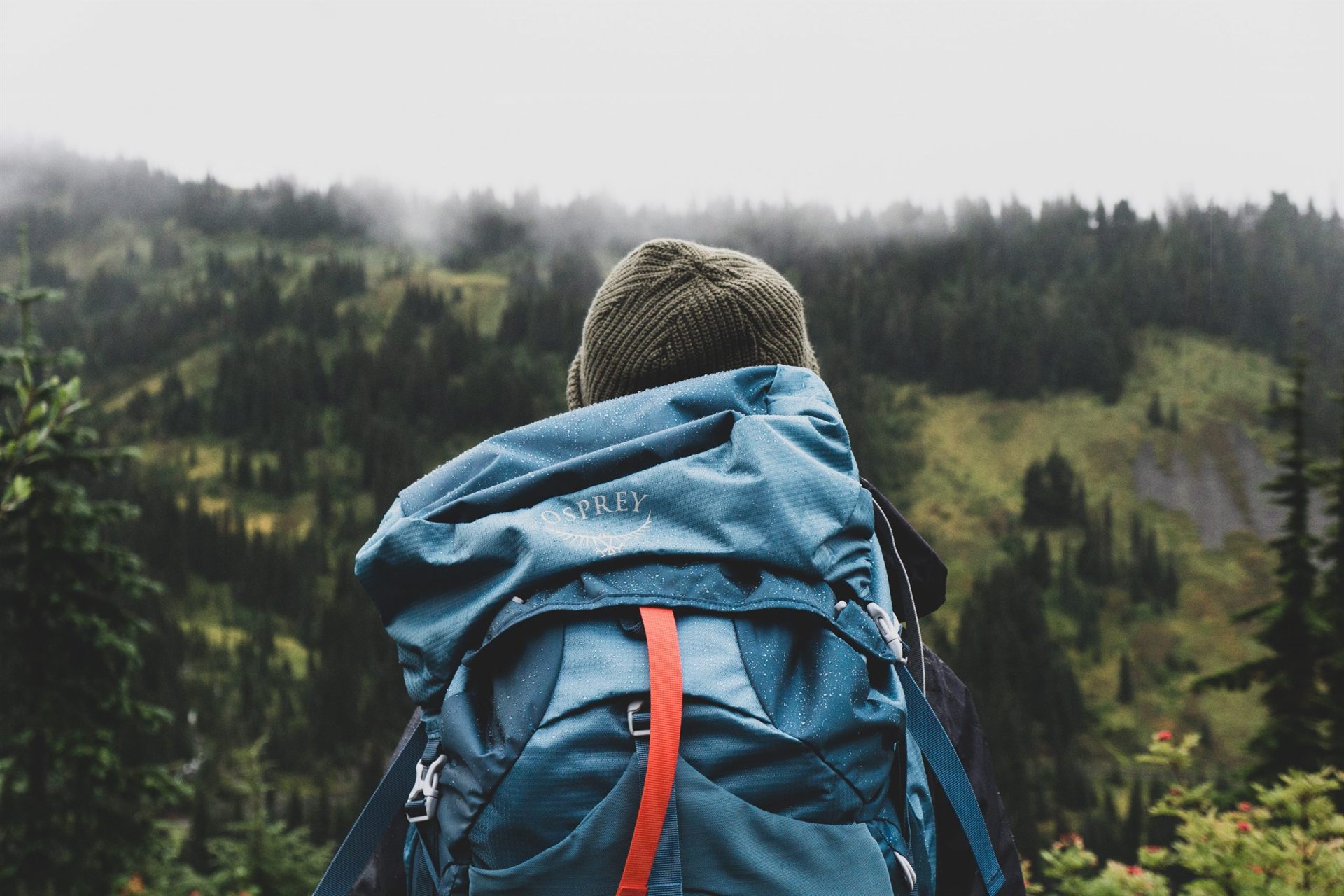 junge trekking