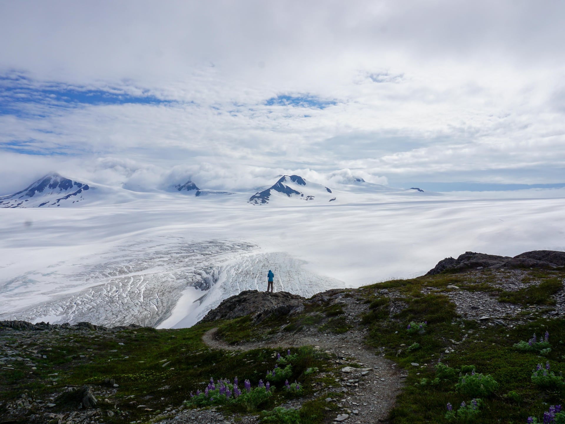 A hiker looking across the Harding Icefield and surrounding peaks