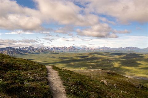 Mountain trail overlooking the expansive wilderness near Denali in Alaska