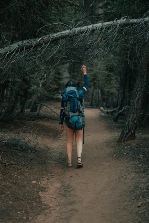 Backpacker hiking a forest trail in Kings Canyon National Park