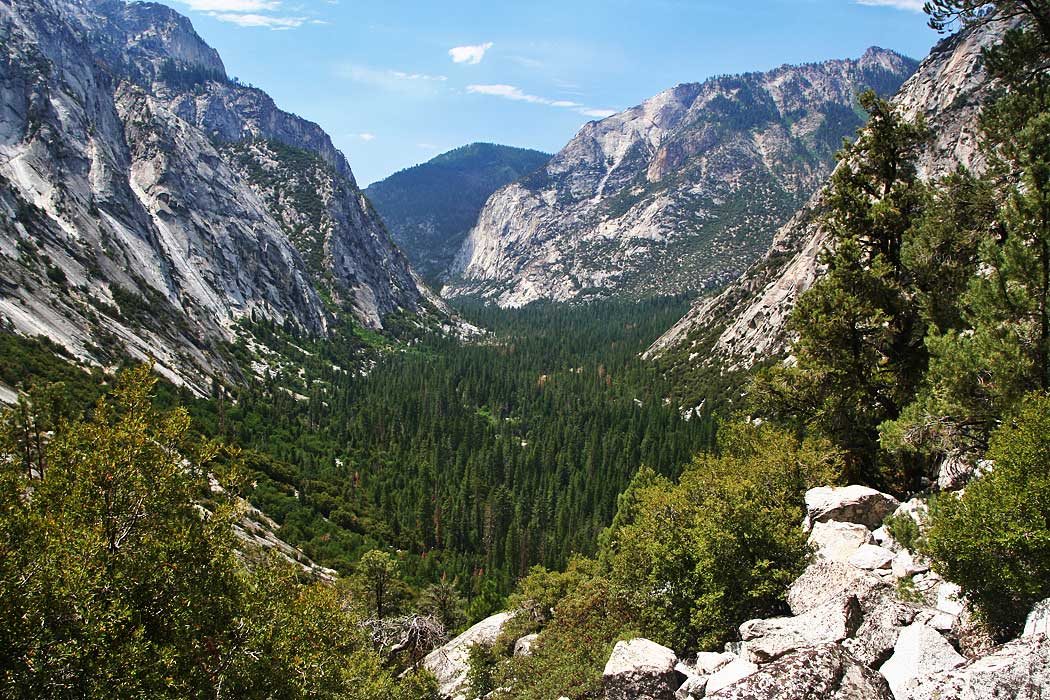 The glacier-carved Kings Canyon valley between steep granite cliffs