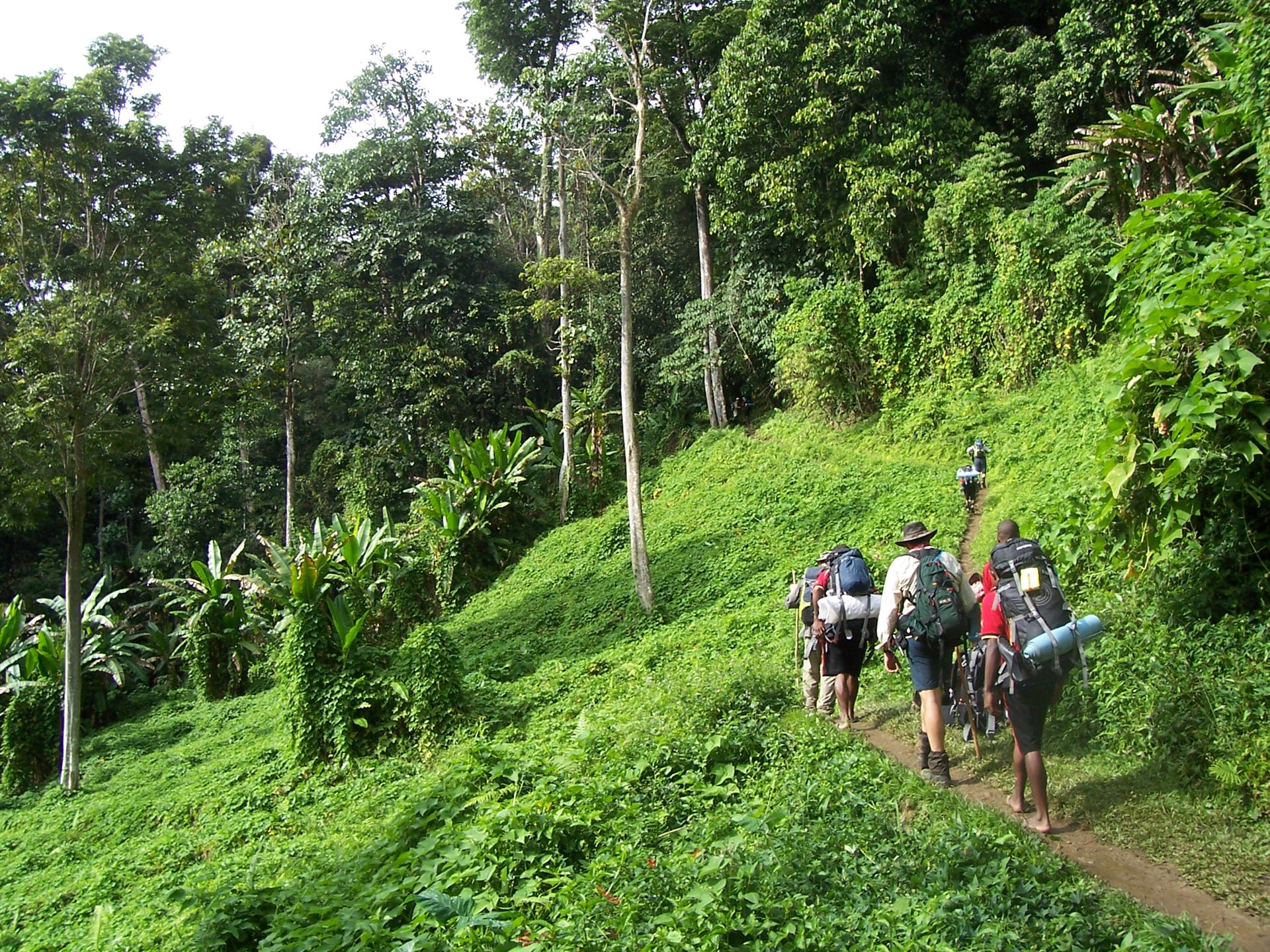 Hikers on Kokoda track 