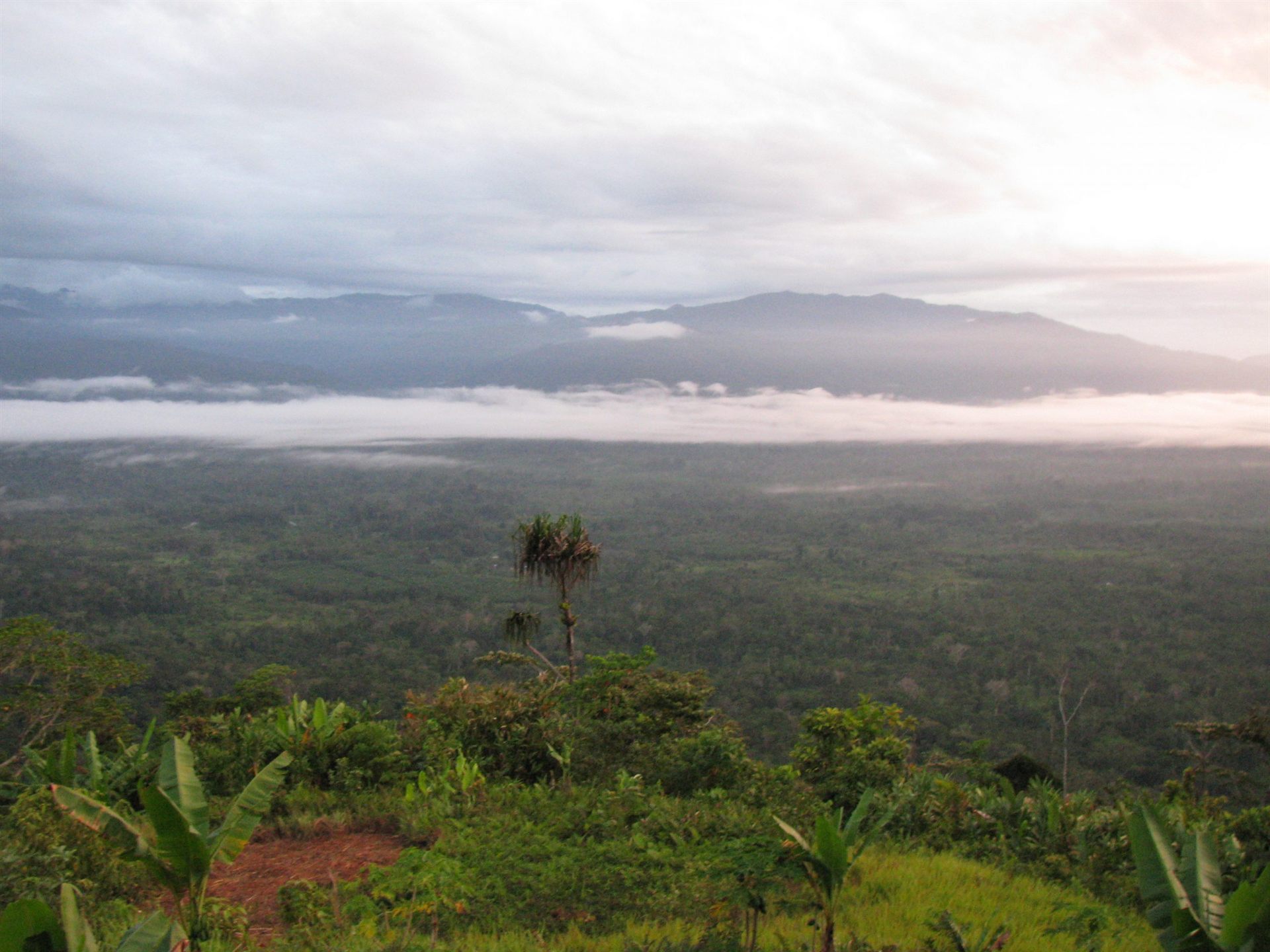 Kokoda trail, papua new guinea