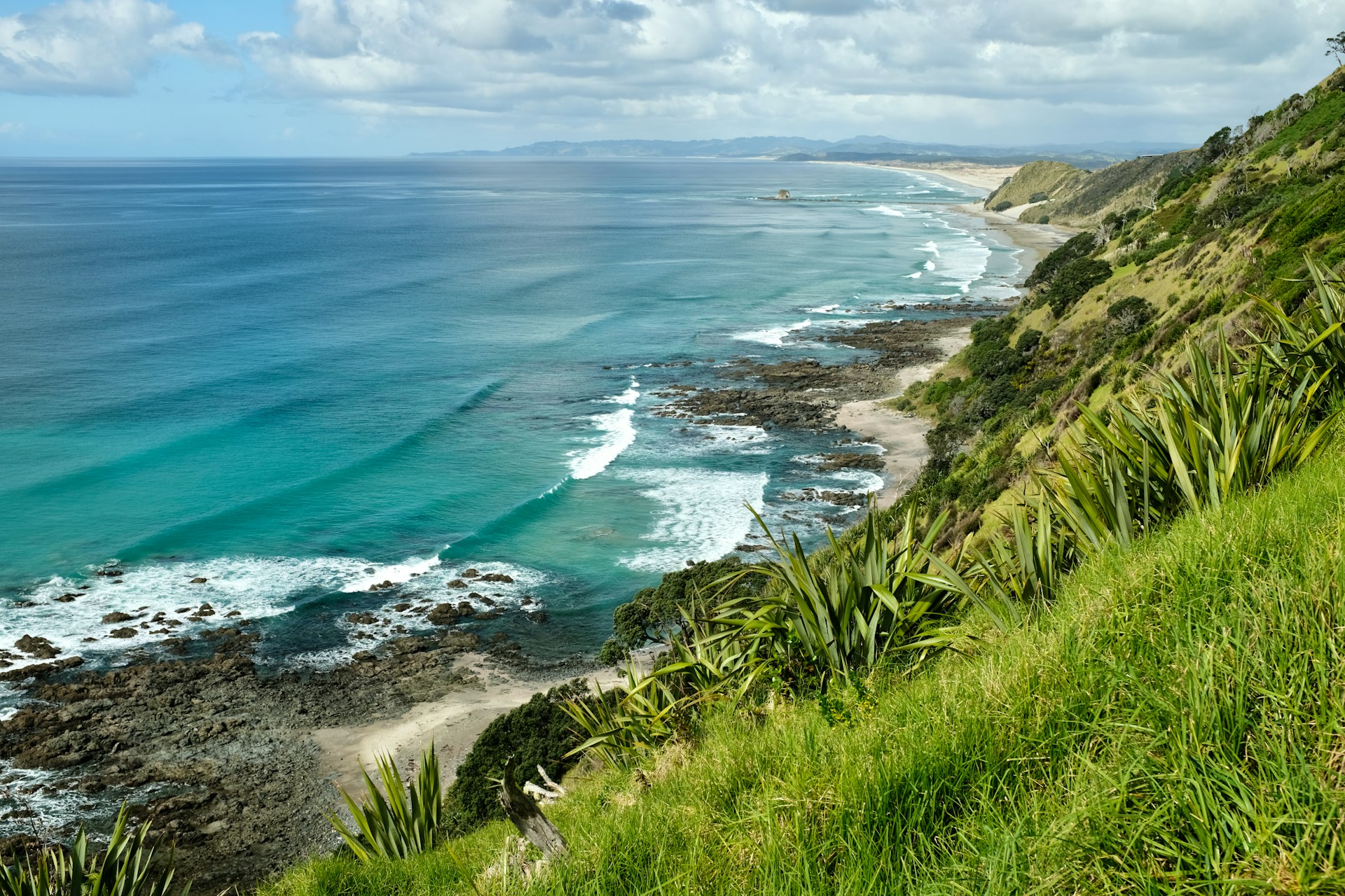 Green coastal cliffs and surf along New Zealand's Te Araroa trail