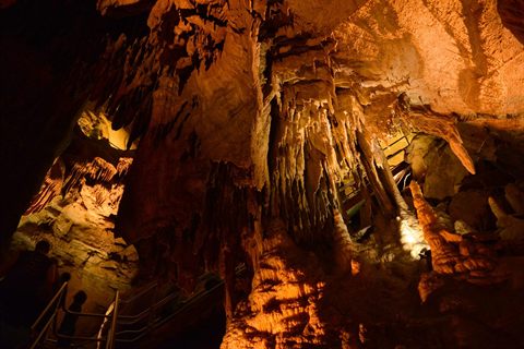 Mammoth Cave National Park: The Largest Cave System in the World