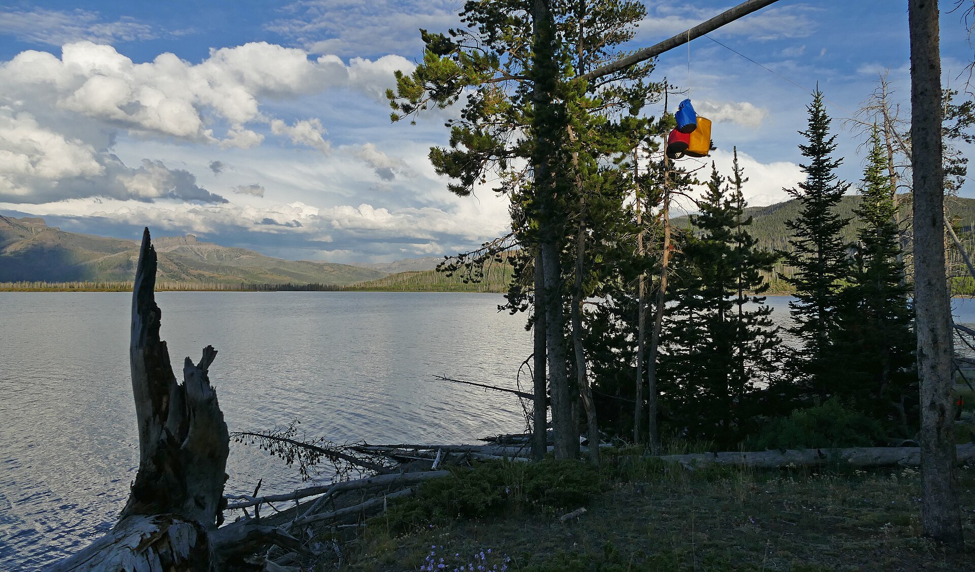 Food bags stored safely on a bear pole at camp