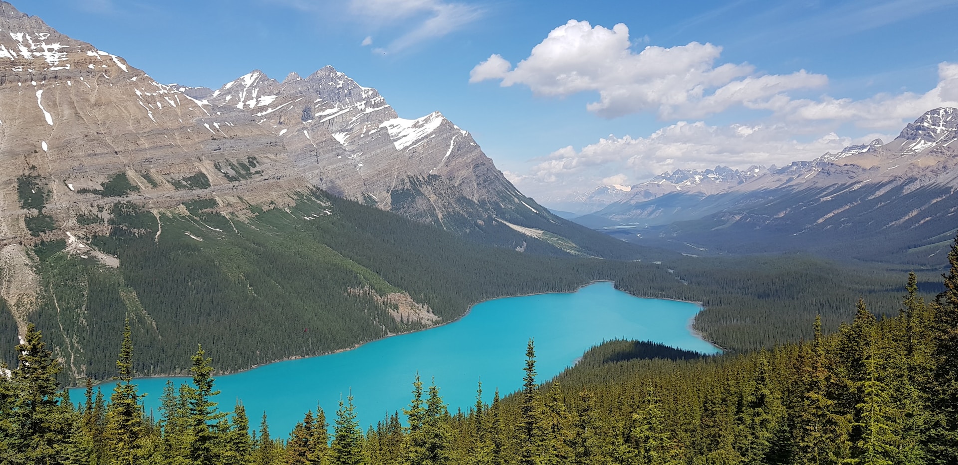 Peyto Lake and surrounding mountains in Banff National Park