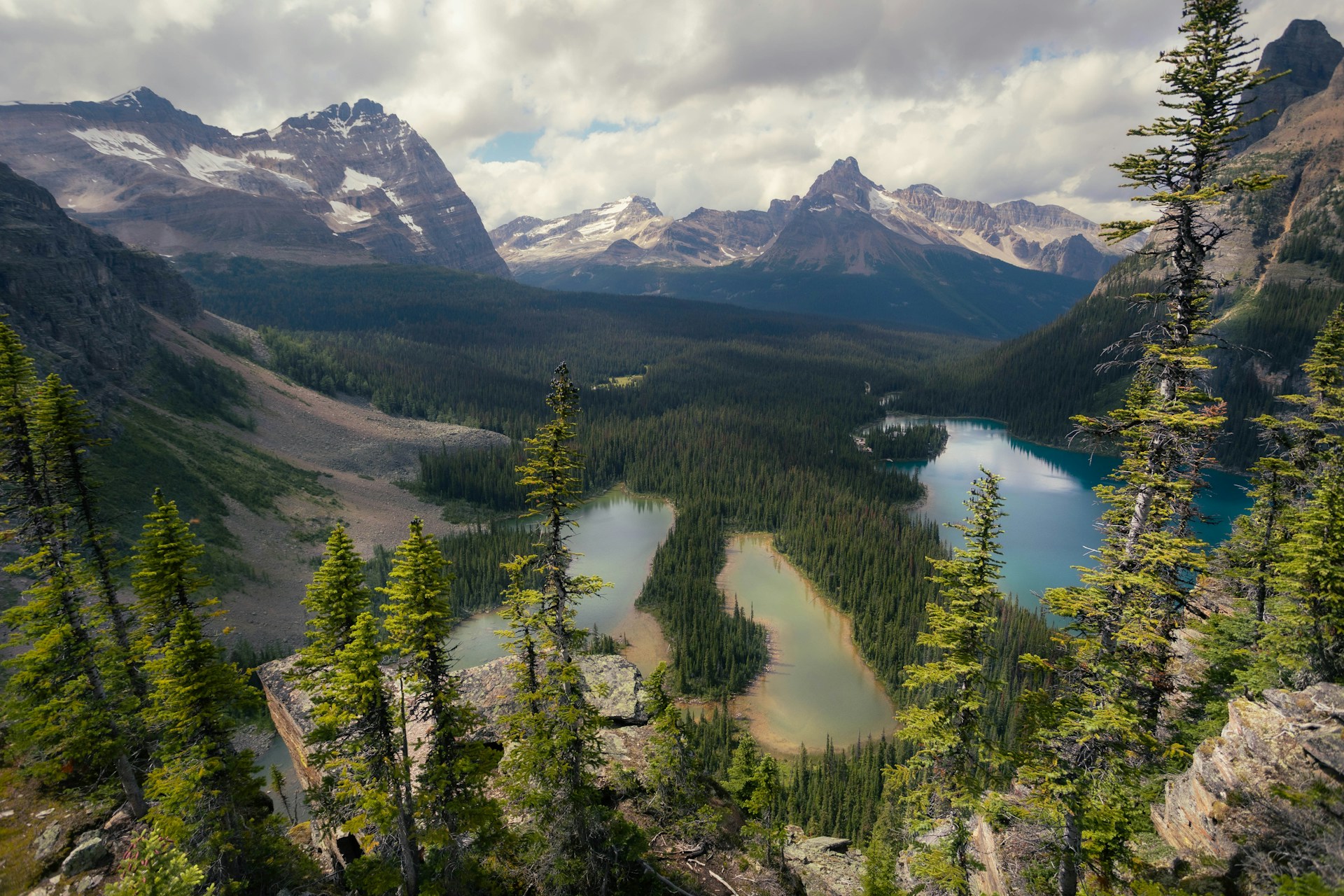 An alpine lake surrounded by evergreen forest and mountains in Jasper National Park