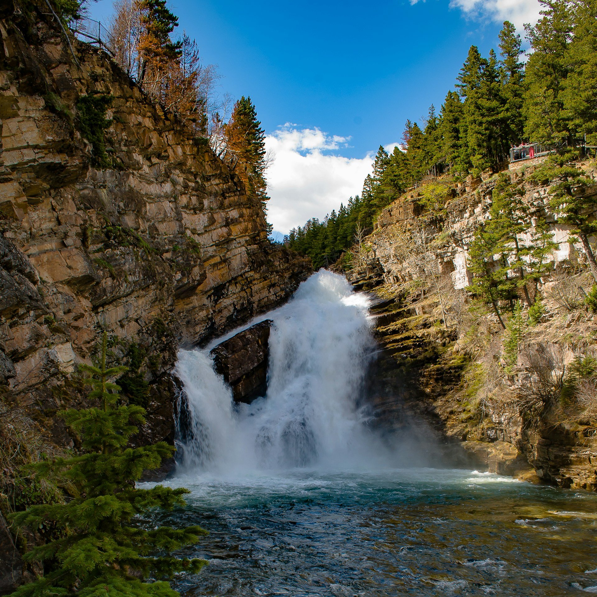 Cameron Falls flowing through a rocky gorge in Waterton Lakes National Park