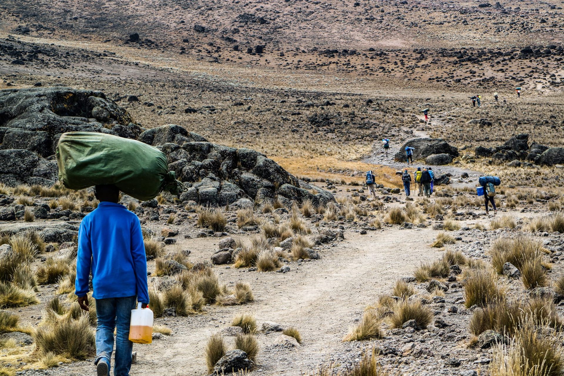 Porters and Hikers on Mount Kilimanjaro trek