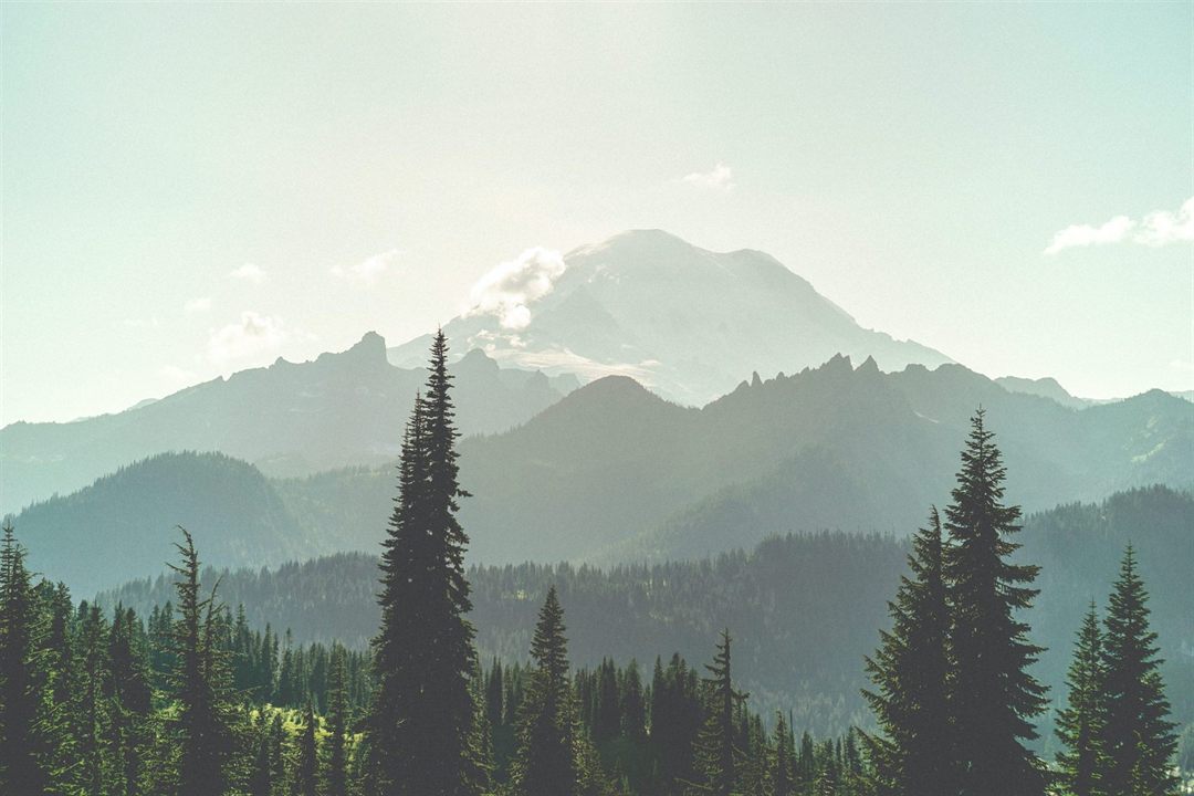 Mount Rainier National Park: Majestic Views and Ancient Glaciers