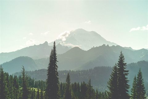 Mount Rainier National Park: Majestic Views and Ancient Glaciers