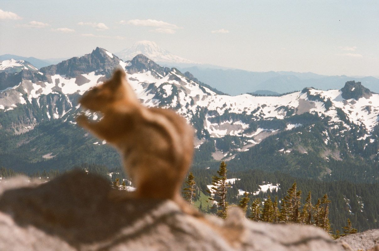 Mount Rainier National Park