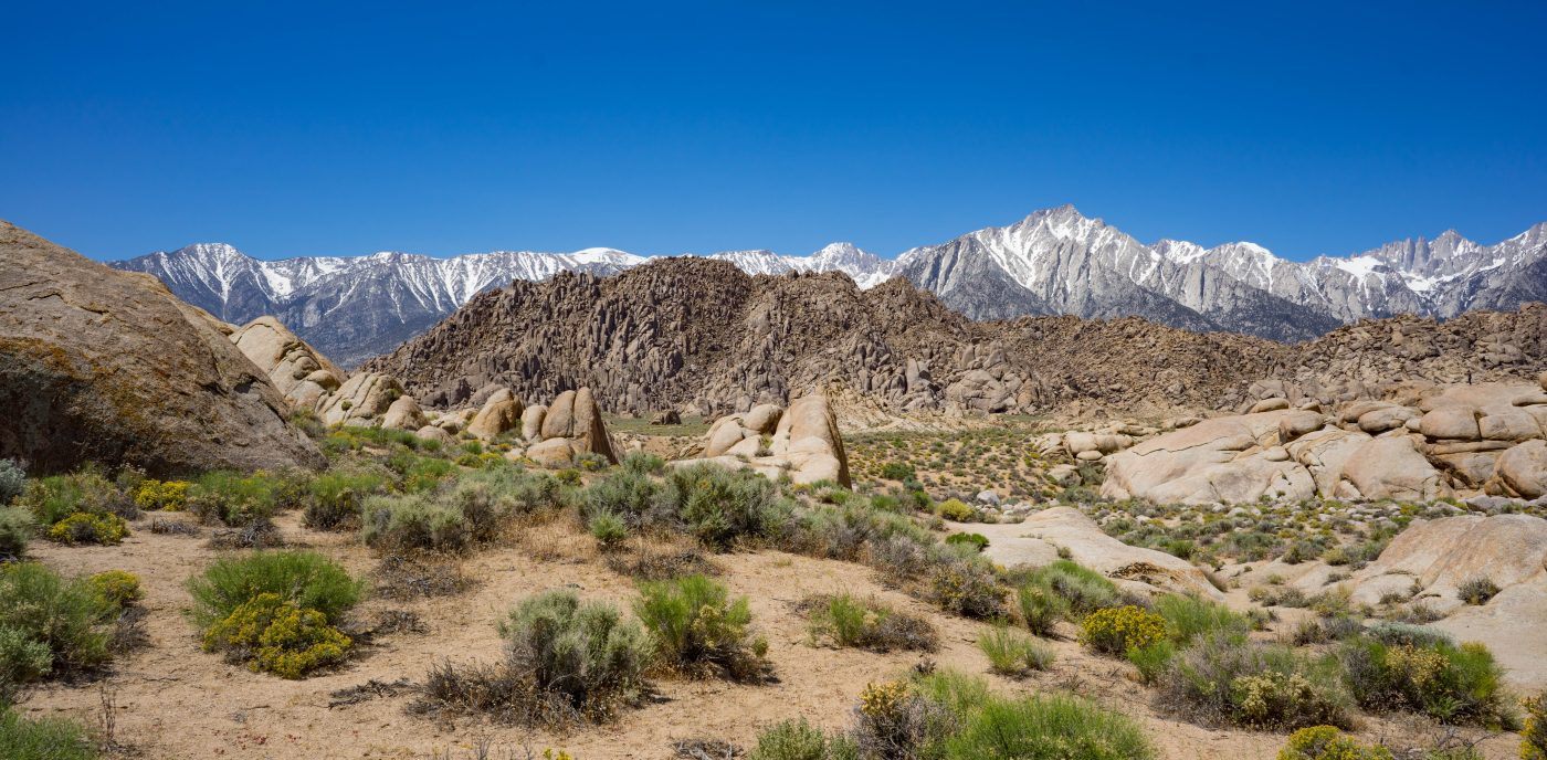 California Wilderness